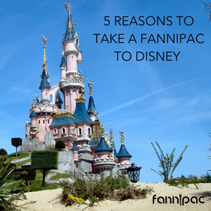 5 Reasons to Take a Fanny Pack to Disney (and other amusement parks)